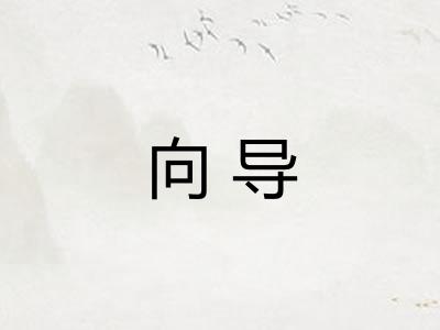 向导