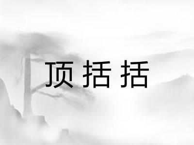 顶括括