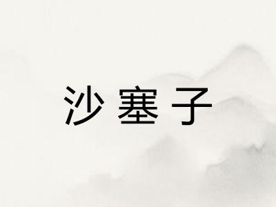 沙塞子