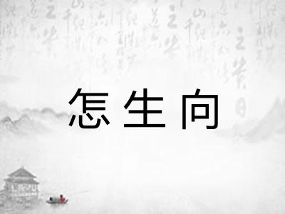 怎生向