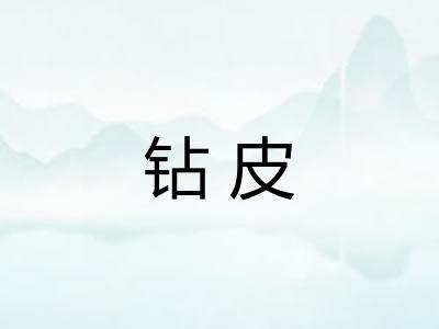 钻皮