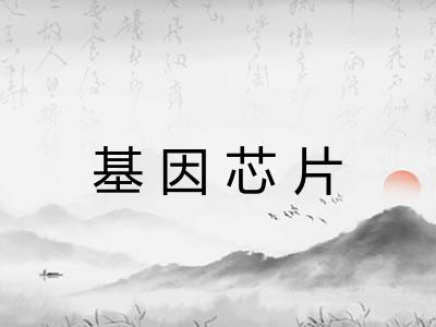 基因芯片