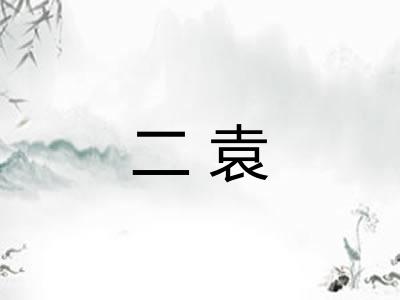 二袁