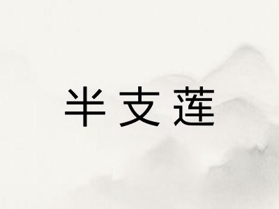 半支莲