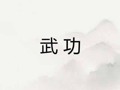 武功