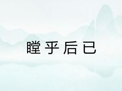 瞠乎后已