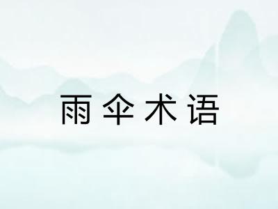 雨伞术语