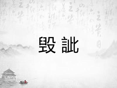 毁訿