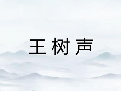 王树声