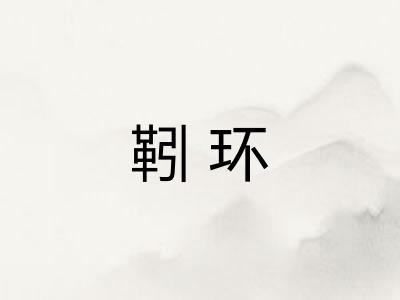 靷环