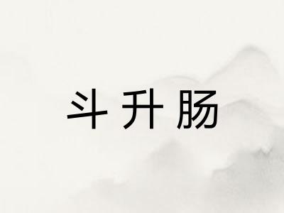 斗升肠