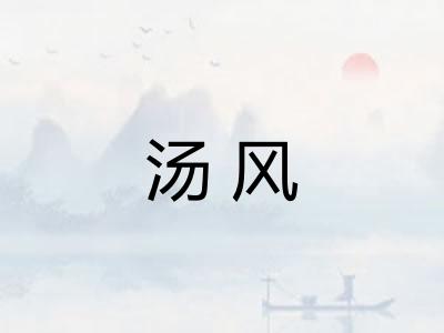 汤风