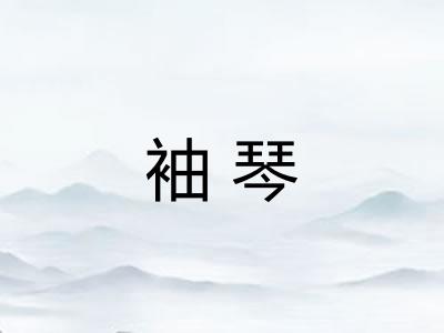 袖琴