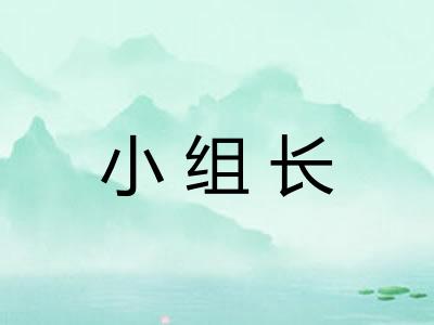 小组长
