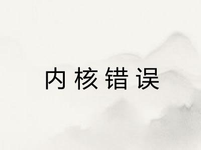 内核错误
