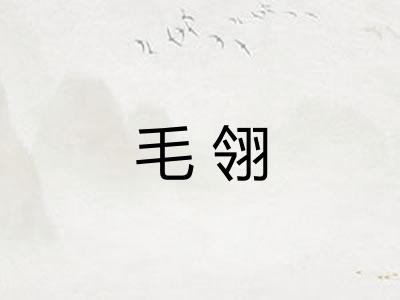 毛翎