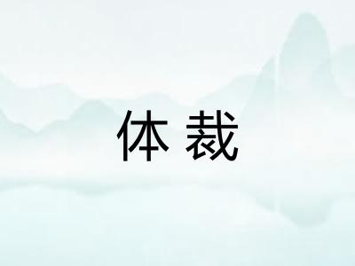 体裁