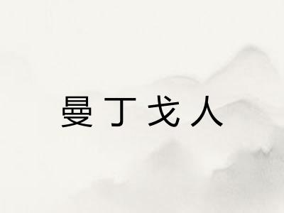 曼丁戈人