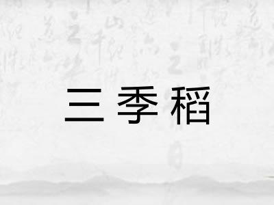三季稻