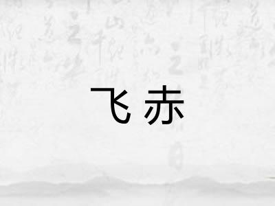飞赤