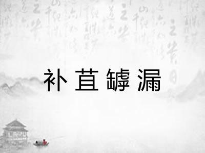 补苴罅漏