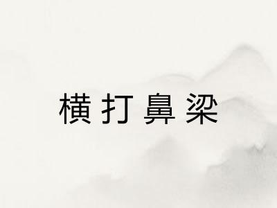 横打鼻梁