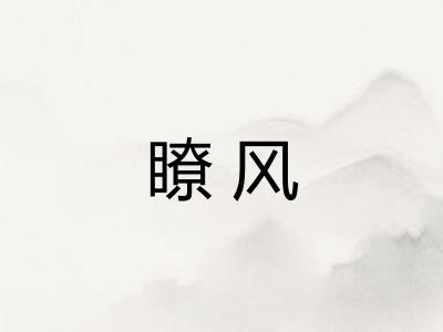 瞭风