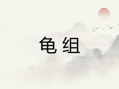 龟组
