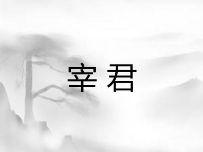 宰君
