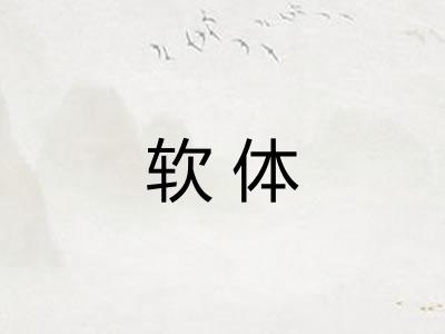 软体
