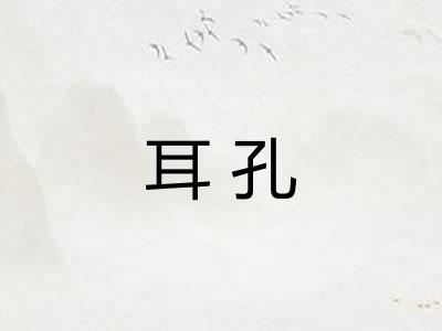 耳孔