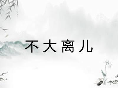 不大离儿