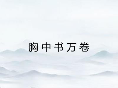 胸中书万卷
