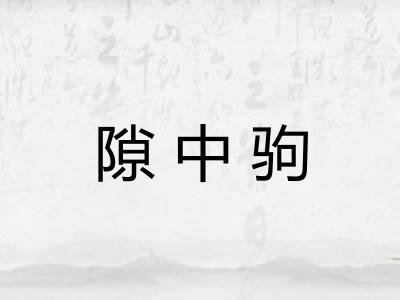 隙中驹