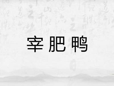 宰肥鸭