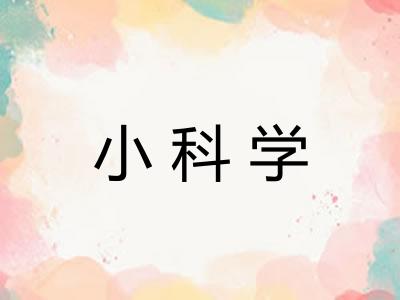 小科学