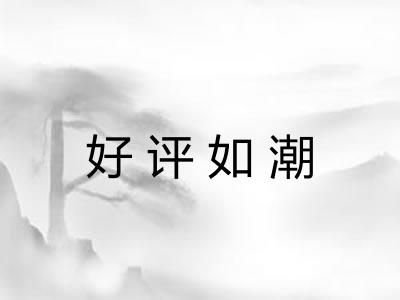 好评如潮