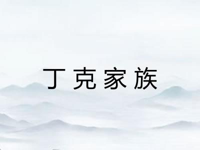 丁克家族