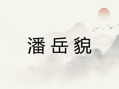 潘岳貌
