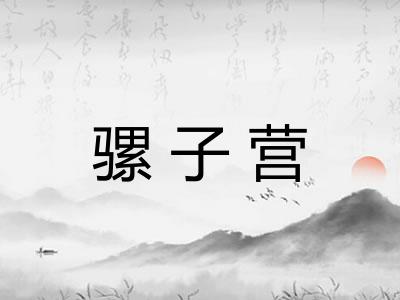 骡子营