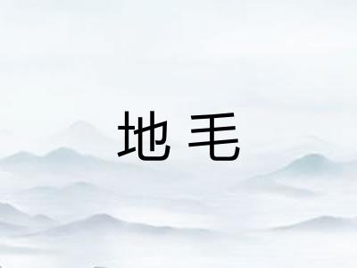 地毛