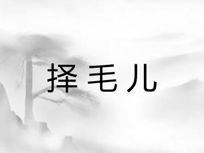 择毛儿