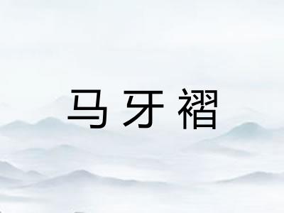 马牙褶