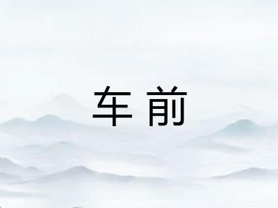 车前