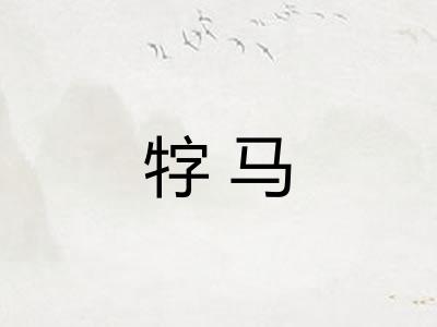 牸马
