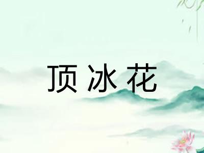 顶冰花