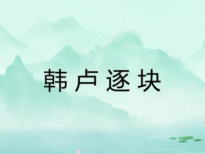 韩卢逐块