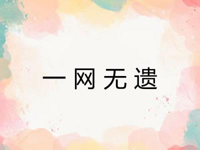 一网无遗