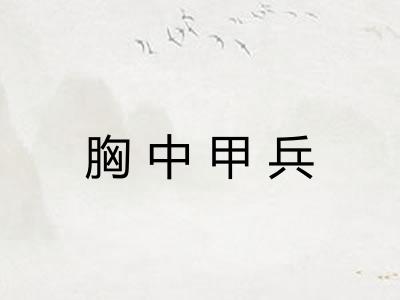 胸中甲兵