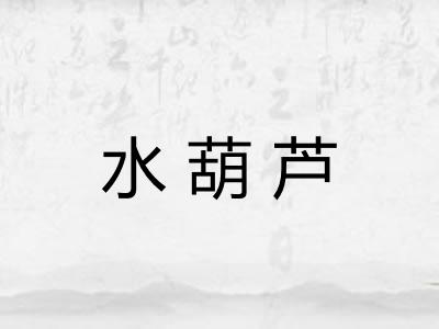 水葫芦